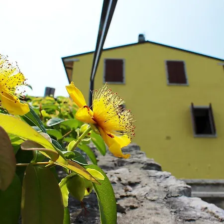 Marilena * San Zeno di Montagna